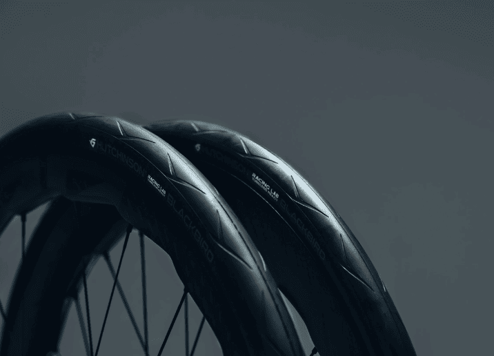 Hutchinson blackbird